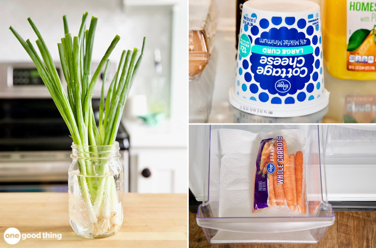 keep food fresh keep food fresh