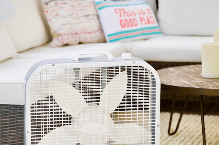 Using a fan to keep air circulating combats musty smells.