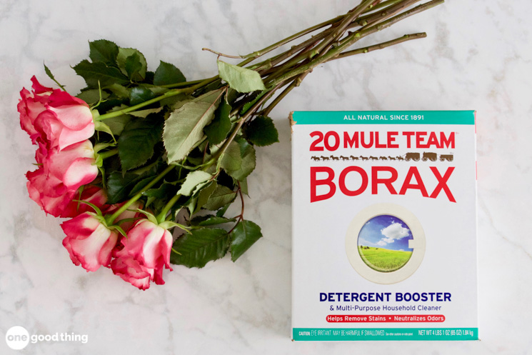 Borax Uses You can use borax to dry and preserve flowers.