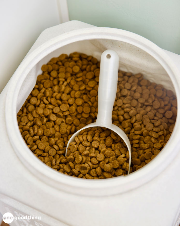 pet hair removal hacks pet hair removal hacks