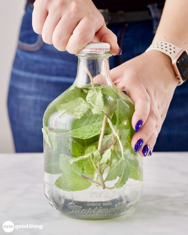 scented vinegar scented vinegar