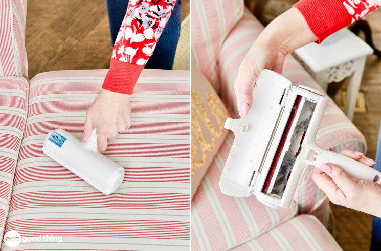 pet hair removal hacks pet hair removal hacks