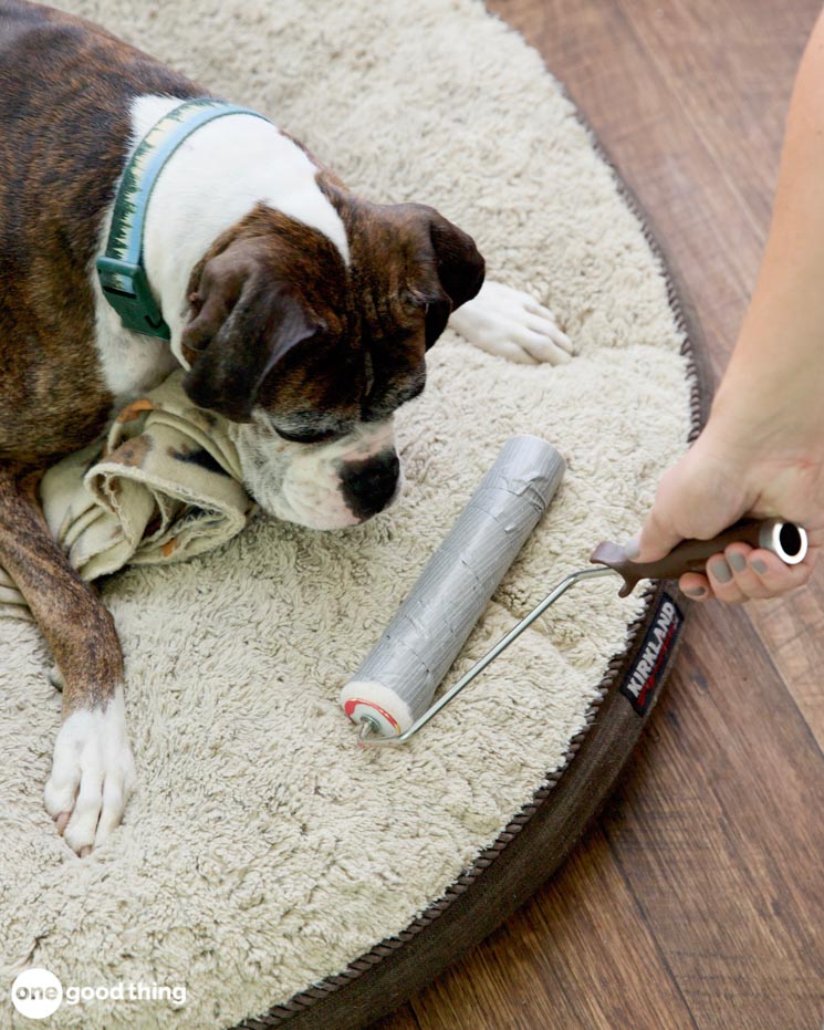 pet hair removal hacks pet hair removal hacks