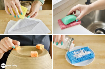 uses for sponges