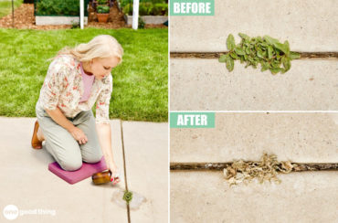 Photos of a woman spraying a homemade weed killer on weeds, and before and after photos of weeds alive then dead.
